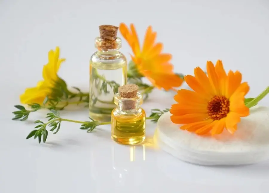 I cosmetici naturali più utilizzati