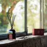 I diffusori per ambienti: la loro utilità