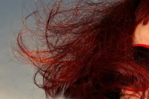 Shatush, un 2020 da protagonista!