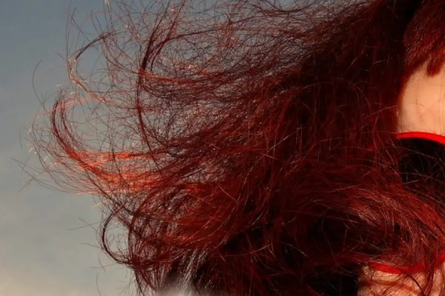 Shatush, un 2020 da protagonista!