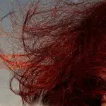 Shatush, un 2020 da protagonista!