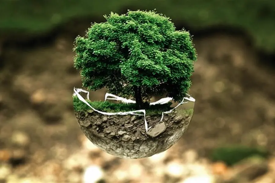 Ricambi auto e ecologia, un binomio che diventa trend