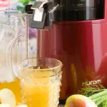 Estrattori di succo, quale modello è il migliore?