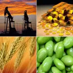 Investire in Bitcoin e materie prime, quali rischi?