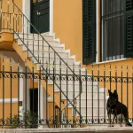 I migliori metodi per proteggere la propria casa