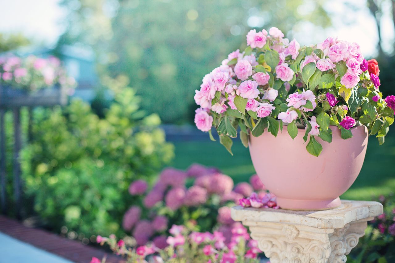 Avere un giardino in casa: più di uno spazio verde, una parte della vita quotidiana