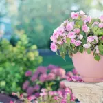 Avere un giardino in casa: più di uno spazio verde, una parte della vita quotidiana