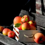 Cassetta di frutta: al mercato, online o come arredamento